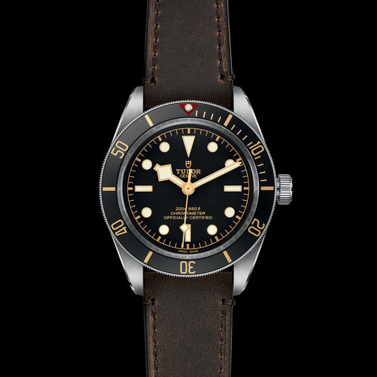 TUDOR Black Bay 58