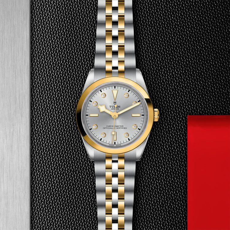 TUDOR Black Bay 36 S&G