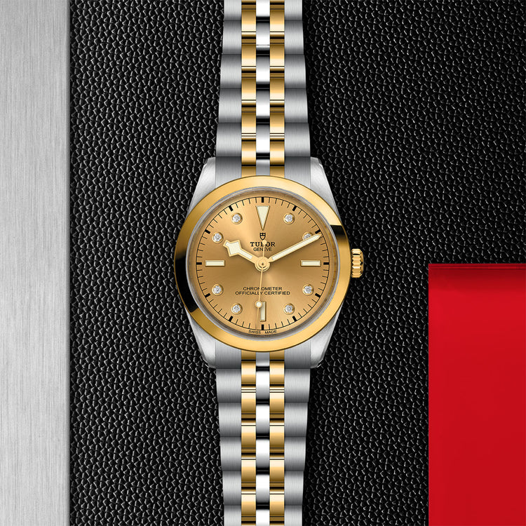 TUDOR Black Bay 36 SG