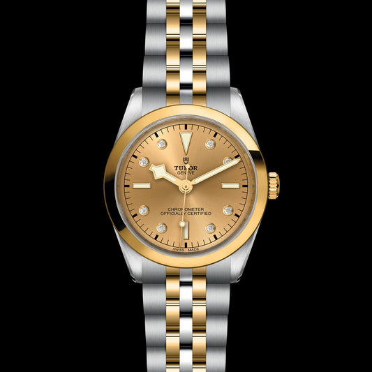 TUDOR Black Bay 36 SG