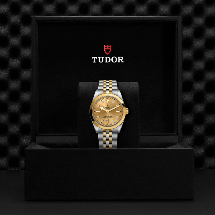 TUDOR Black Bay 36 SG