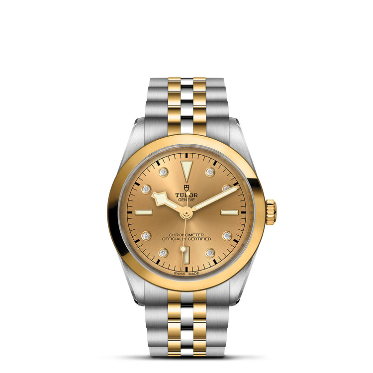 TUDOR Black Bay 36 SG