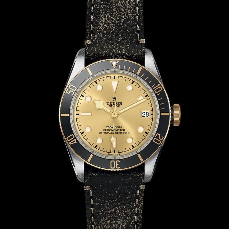 TUDOR Black Bay S&G