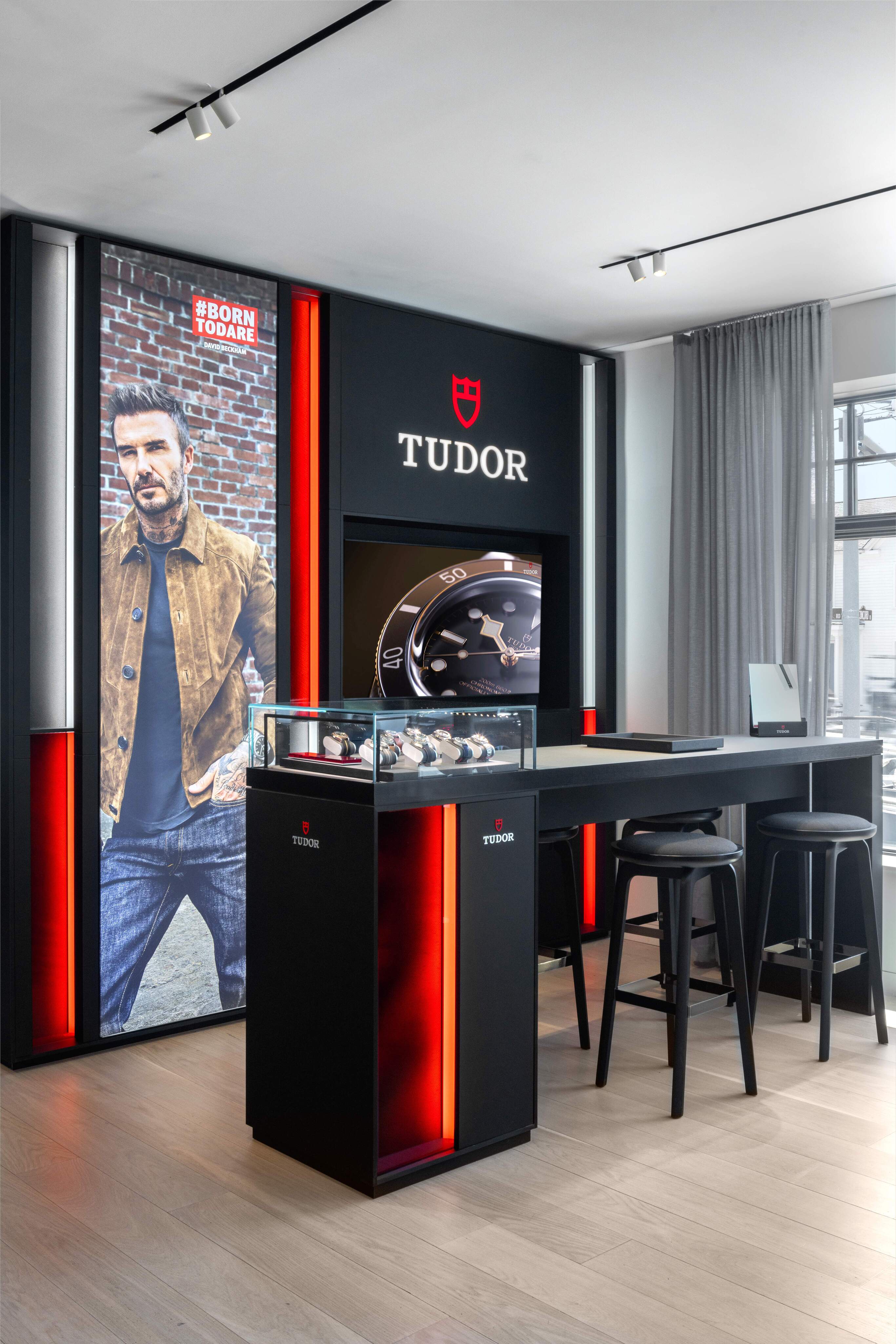 Tudor Watch Display