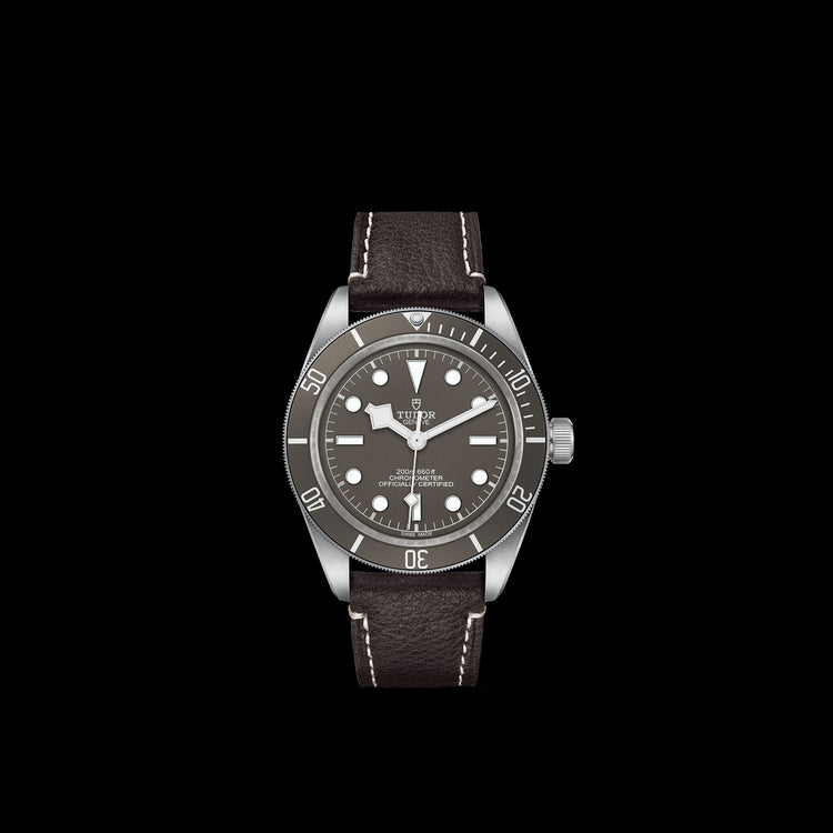 TUDOR Black Bay 58 925