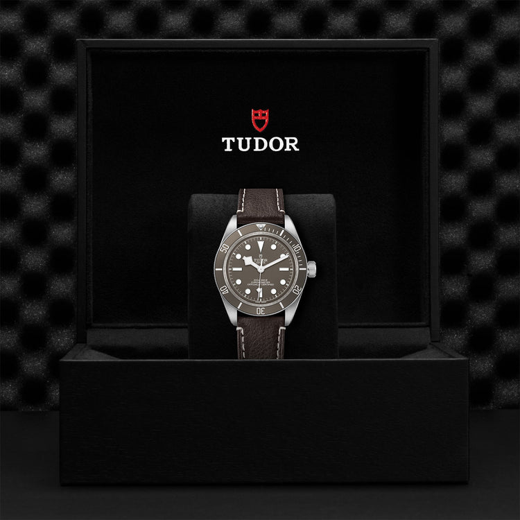 TUDOR Black Bay 58 925