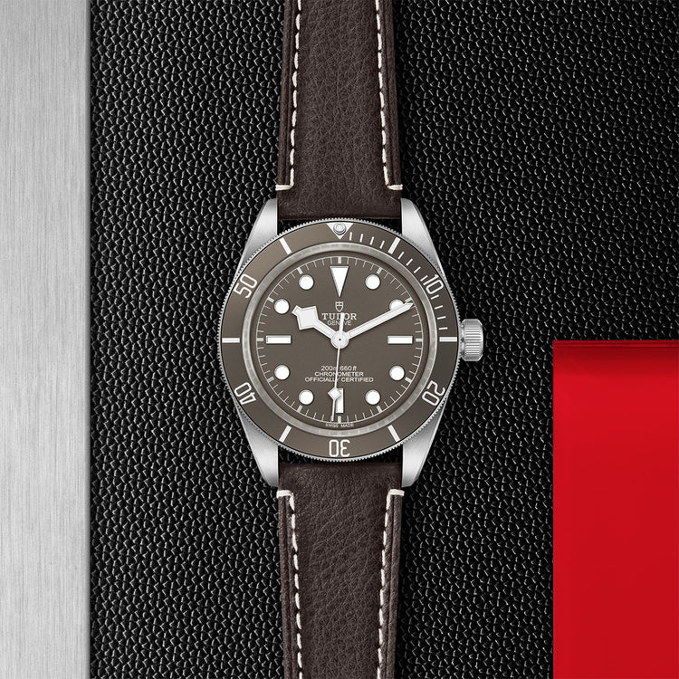 TUDOR Black Bay 58 925