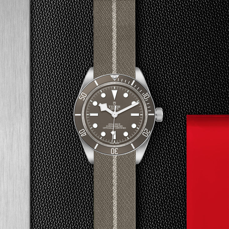 TUDOR Black Bay 58 925