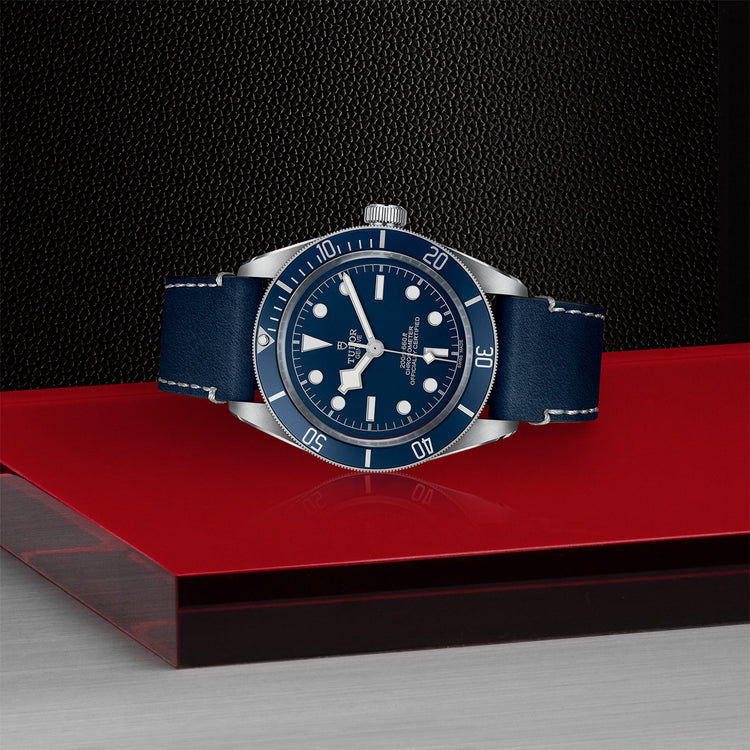 TUDOR Black Bay 58