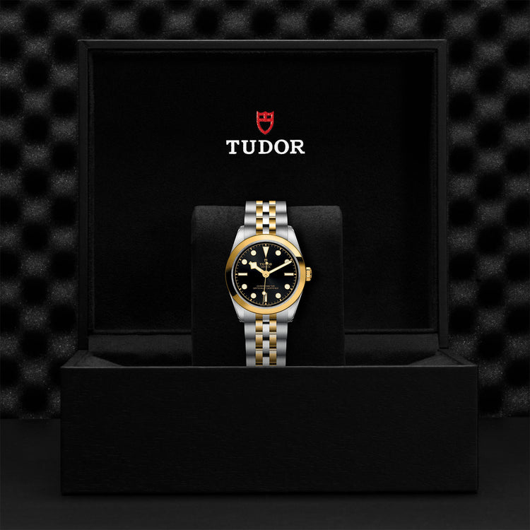 TUDOR Black Bay 36 SG