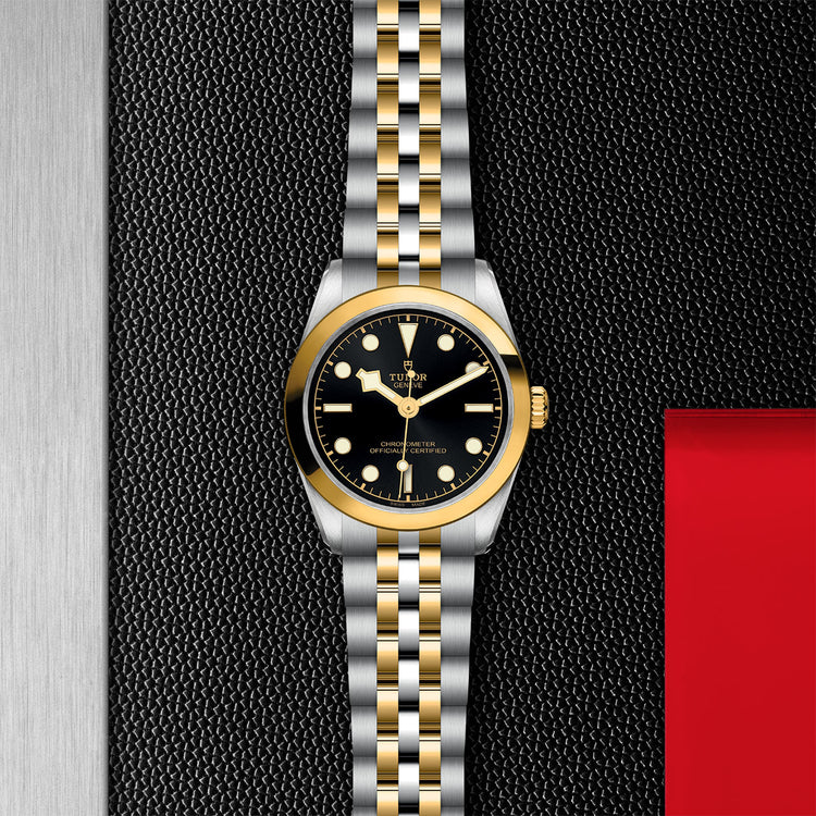 TUDOR Black Bay 36 SG