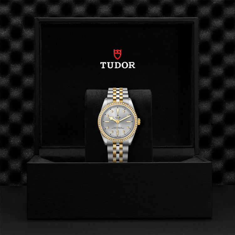 TUDOR Black Bay 36 SG