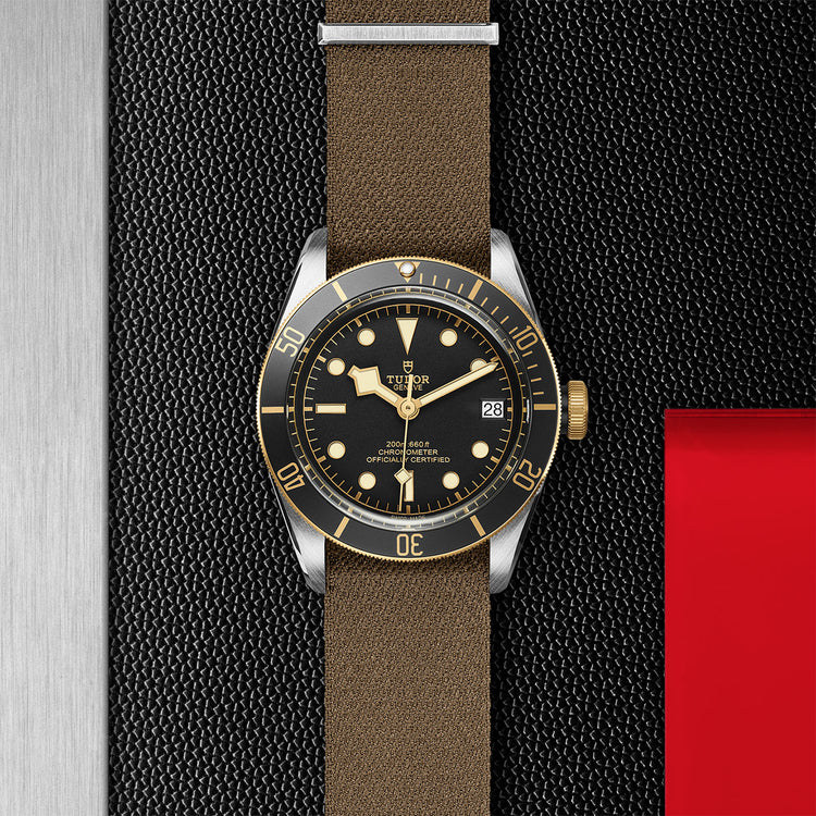 TUDOR Black Bay S&G