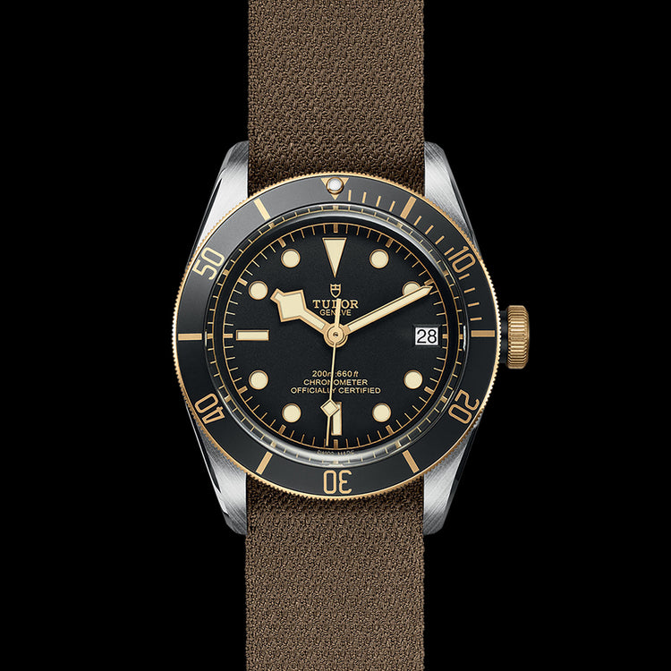 TUDOR Black Bay S&G