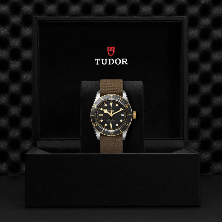 TUDOR Black Bay S&G