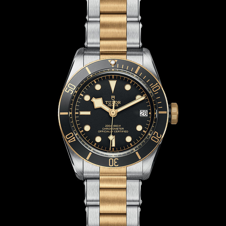 TUDOR Black Bay S&G