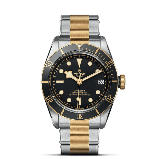 TUDOR Black Bay S&G