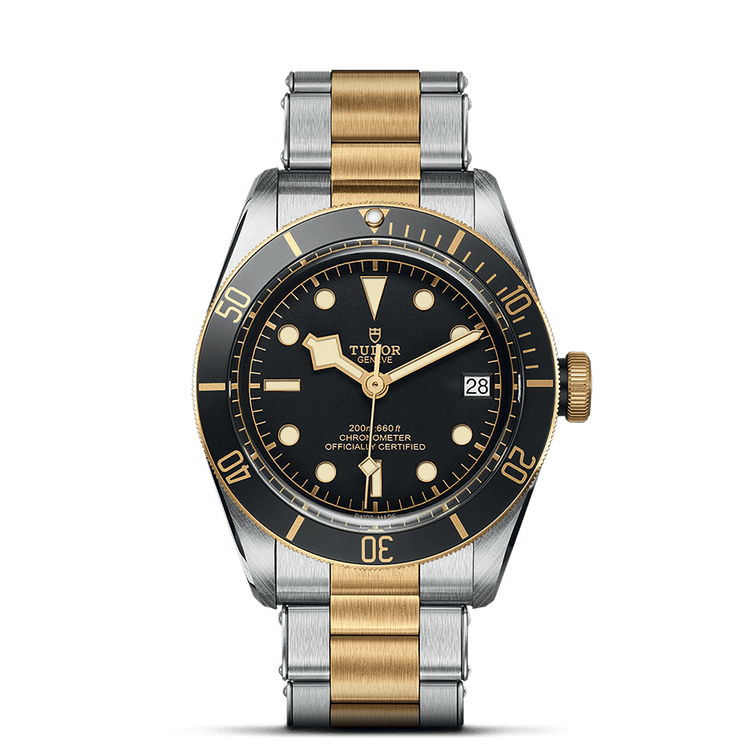 TUDOR Black Bay S&G