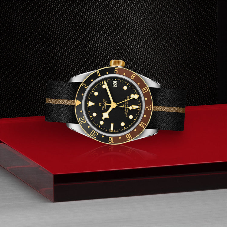 TUDOR Black Bay GMT SG