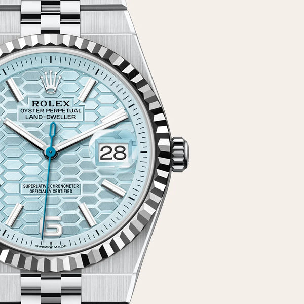 rolex land-dweller in platinum, m127236-0001 - Date & Time
