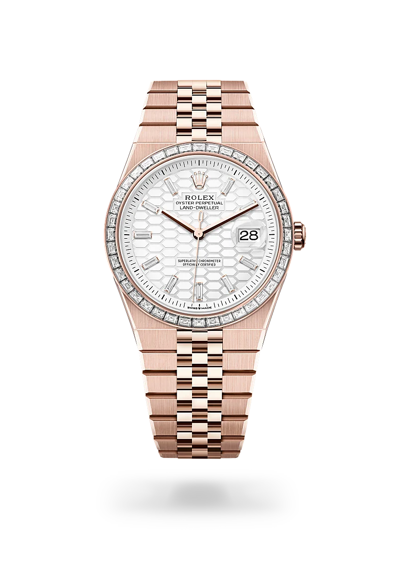 rolex land-dweller in 18 ct everose gold, m127385tbr-0003 - Date & Time