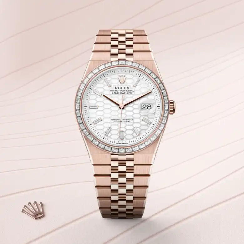 rolex land-dweller in 18 ct everose gold, m127385tbr-0003 - Date & Time