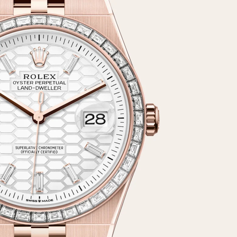 rolex land-dweller in 18 ct everose gold, m127385tbr-0003 - Date & Time
