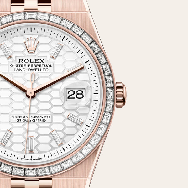 rolex land-dweller in 18 ct everose gold, m127385tbr-0003 - Date & Time