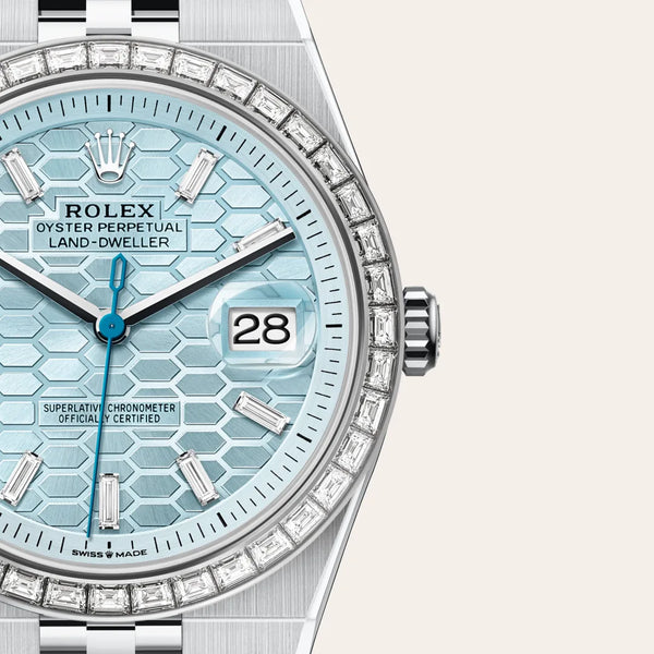 rolex land-dweller in platinum, m127386tbr-0001 - Date & Time