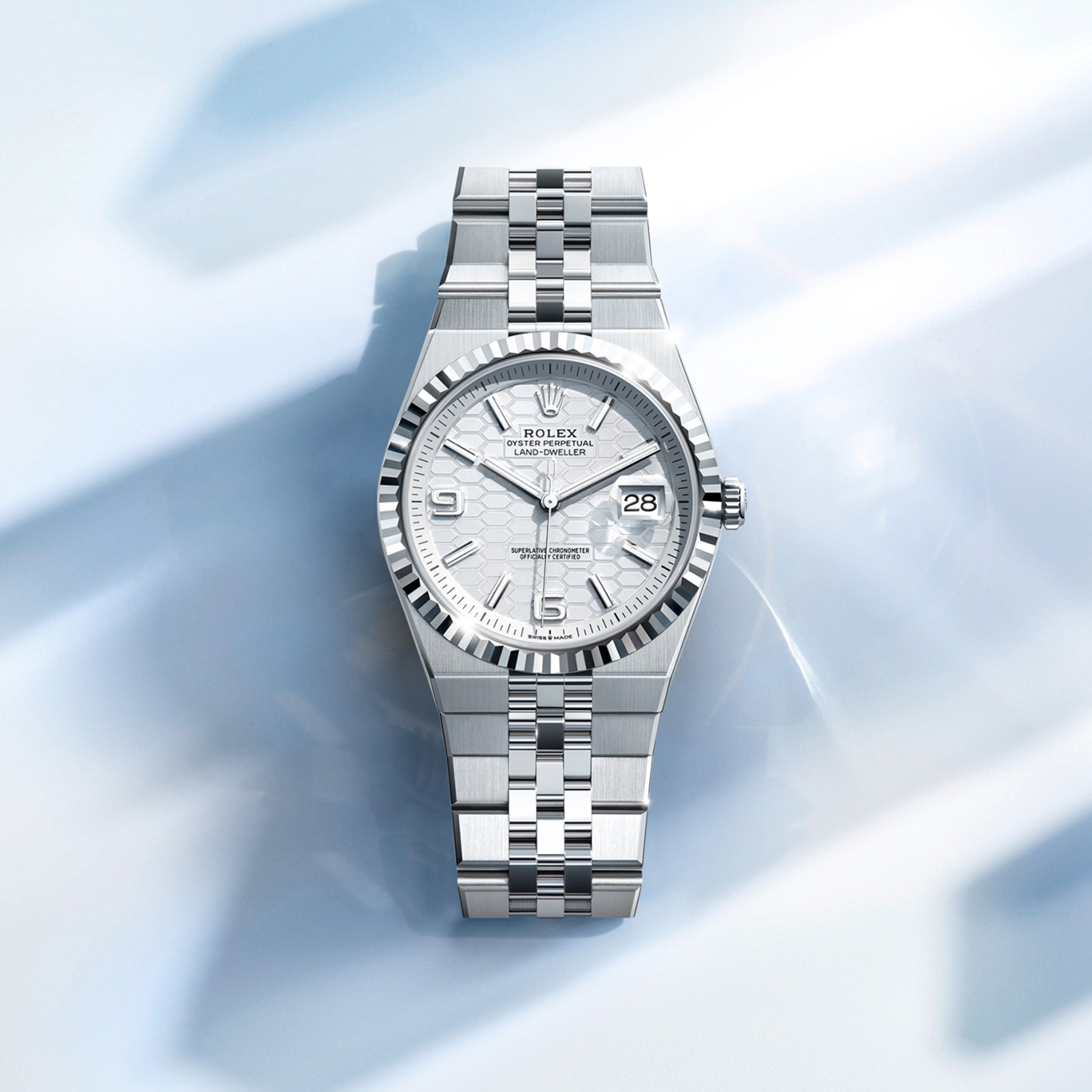 ロッド Rolex Rolex Land-Dweller 36 in Platinum, M127286TBR-0001 | Date & Time