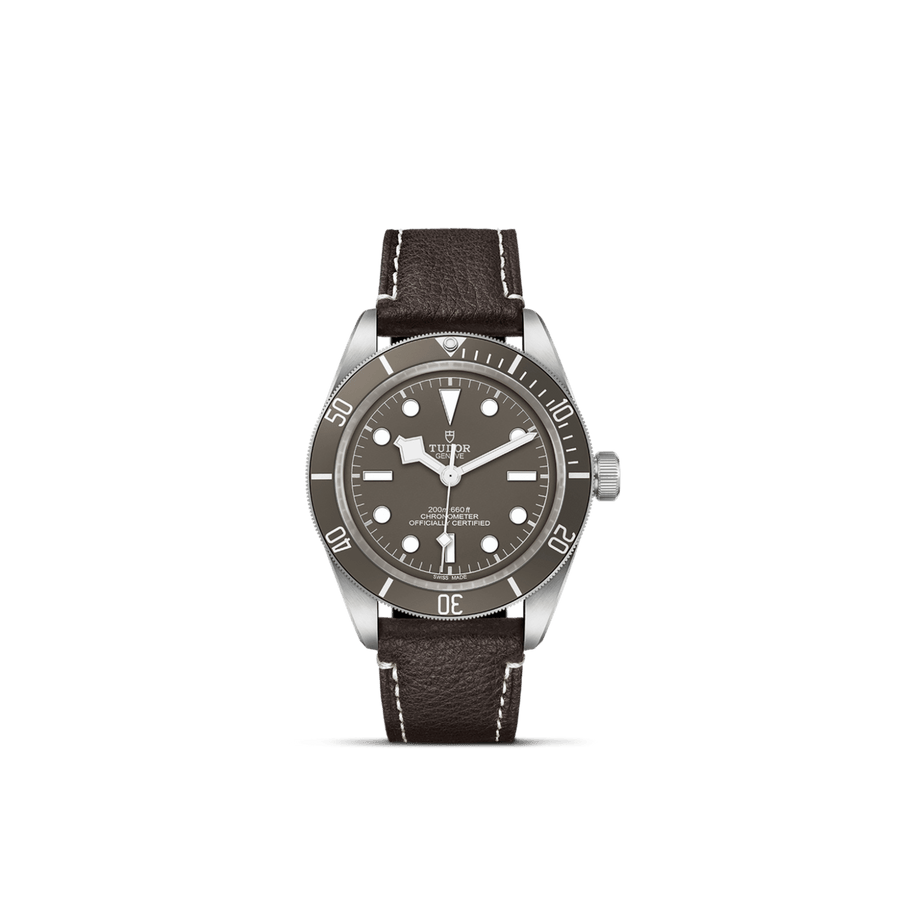 Black Bay 58 925 — M79010SG-0001