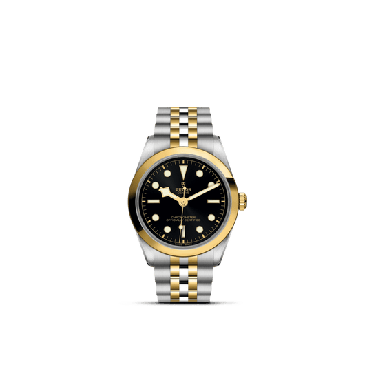 TUDOR Black Bay 36 SG