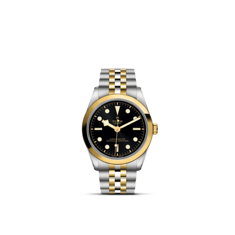 TUDOR Black Bay 36 SG